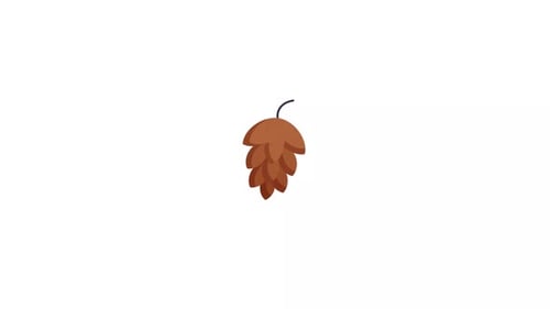 Flat Design Animated Pinecone Opening Element