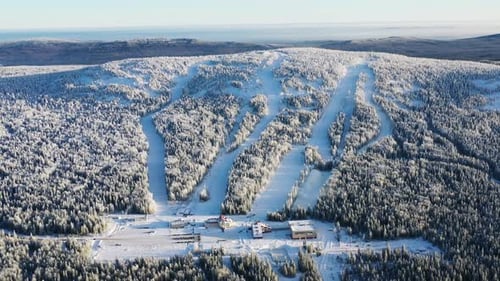 Snowy Ski Resort Nestled in a Frosty Forest Landscape
