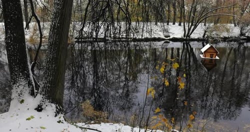 Vibrant Autumn Foliage in Sunlit Forest, Yellow leaves on branches in a snowy forest, amidst lush gr
