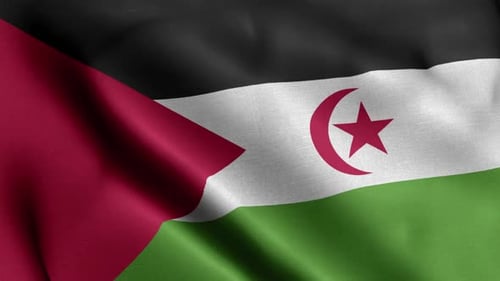 Realistic Waving Flag of Western Sahara Seamless Loop