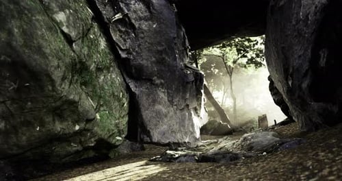 Exploring a Hidden Cave Entrance Surrounded By Lush Greenery and Sunlight