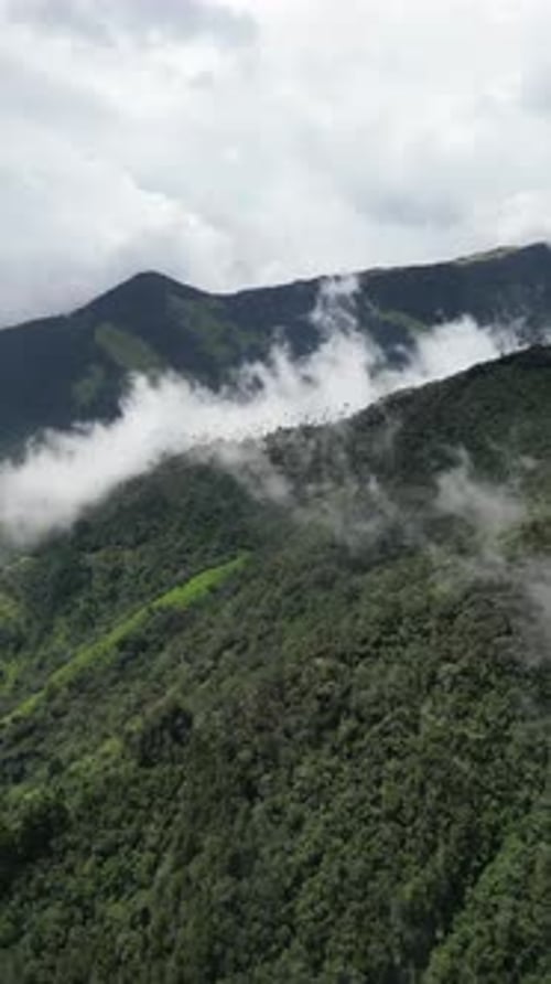 Aerial video over Salento towards a lush forested valley in the mountains of Colombia, Colombia