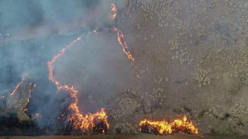 Controlled prescribed fire in dry grass, prevention of unwanted fires, Drone shot