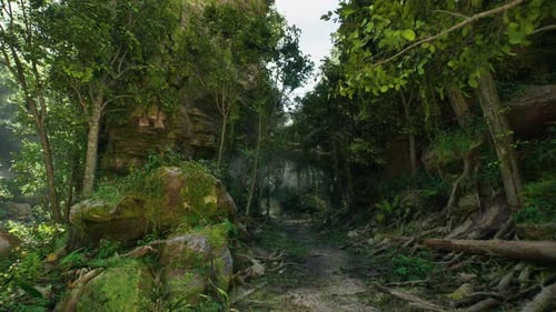 Winding Dirt Path Through Forest