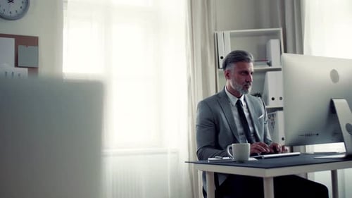 Businessman with Computer Sitting at the Table in an Office, Working