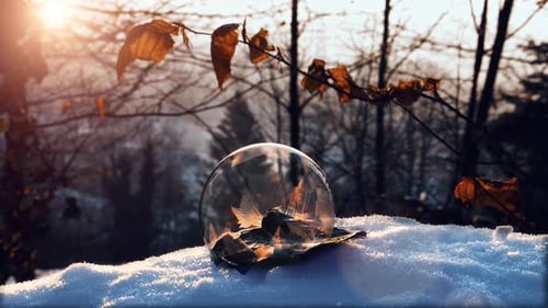 Frozen Bubble on Leaf in Snowy Landscape at Sunrise