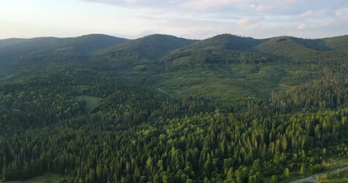 Aerial View of Green Forested Hills Green Forest Concept