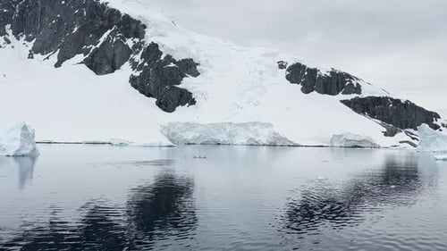 Eine Gruppe von Pinguinen tummelt sich im Wasser neben einem riesigen Hochgletscher im Südpolarmeer