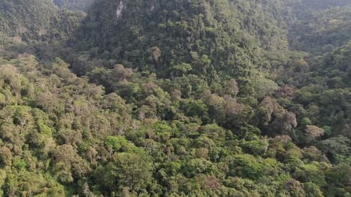 Landschaft eines kleinen Wildflusses im Wald mit unwegsamem Gelände und Klippen