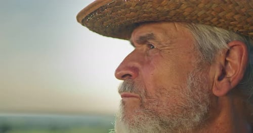 Portrait of Caucasian Senior Farmer Man in Hat and Looking at the Camera at the Field Farmland