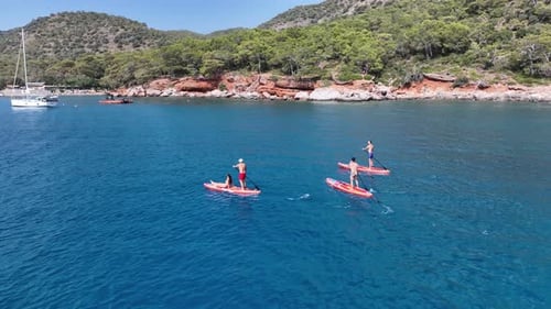 Scenic drone capturing group on stand-up paddleboards.