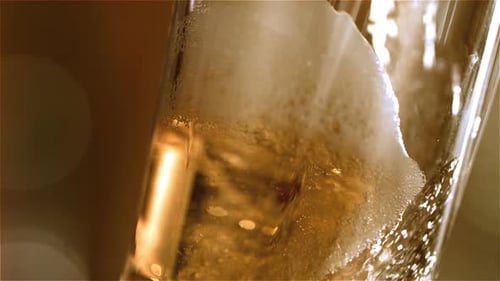 Beer Being Poured into Glass Close Up