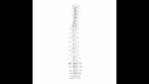 Estructura alámbrica minimalista con columna giratoria, bucle infinito, 4K, 60 FPS
