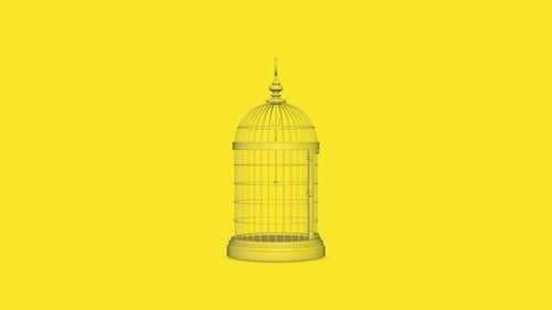 Yellow Birdcages