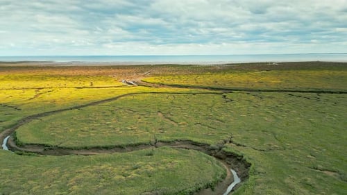 Cracked mud flats in a salt marsh. Aerial: Tidal mudflats, Abstract textures in a cracked coastline,