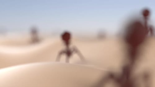 Bacteriophage Virus Bacteria Science Biology View