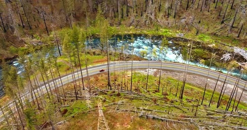 Picturesque river flowing around the mountains covered with dry pine tree wood.