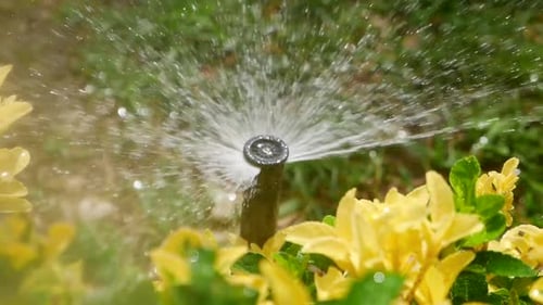 Closeup of Garden Irrigation Spray System Watering Planted Flowerbed