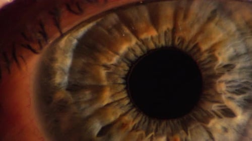 Human Pupil and Iris Close Up, Macro Shot of Eye Anatomy.