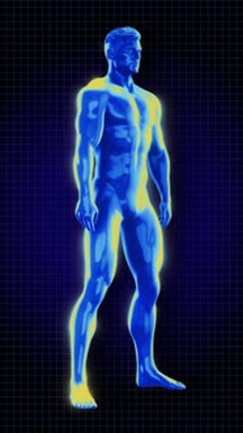 Glowing Blue Human Body Scan for Fitness