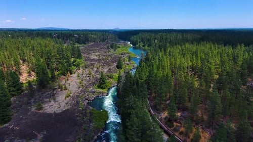 Kayakers down forest river, clear, sunny day in 4K 60fps Frame Rate