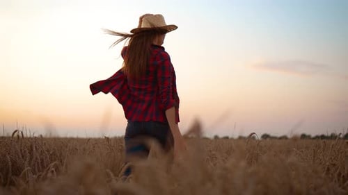 Farmer Agronomist in Golden Field Woman Business Owner on Wheat Crops