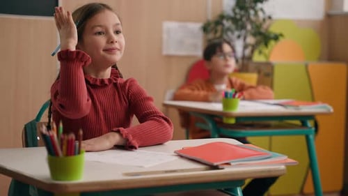 Young Students Learning in Classroom at School Desks