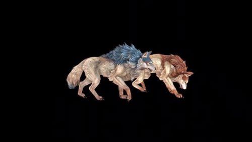 Two Wild Wolf Walk