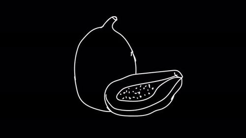 Colorful Scribble Hand Drawn Fruits Animation On Alpha Channel Screen, Banana, Apple, Papaya, Graps