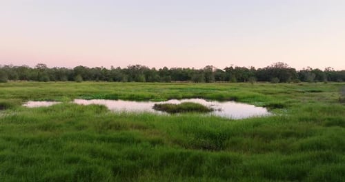 Beautiful Nature Southern Florida Wetlands with River Between Green Wild Vegetation Tropical