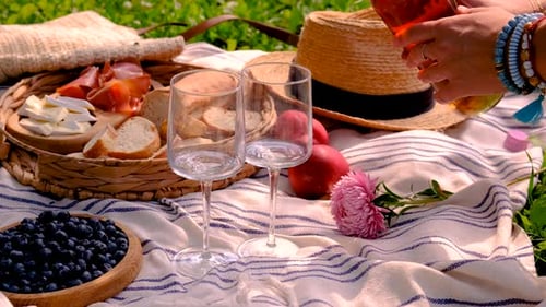 Picnic With Wine, Cheese and Blueberries in Summer