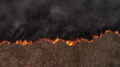 Slow motion aerial view spring dry grass burning field. Fire, smoke in meadow, pollution