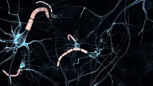 Neural Network Activity: Electrical Impulses Firing Through Brain Synapses