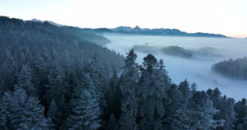 Filmische Luftaufnahme einer Drohnenaufnahme einer verschneiten Winterlandschaft