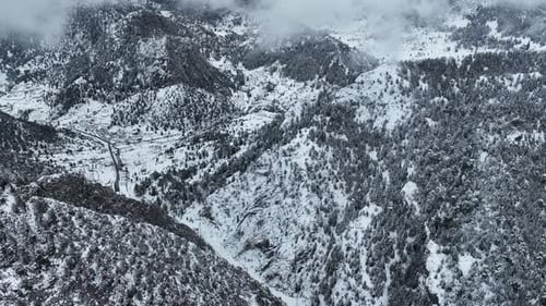 Cinematic Aerial Snowfall Over Road in Dense Snow Covered Pine Trees