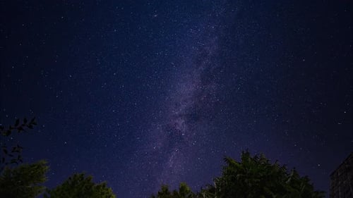 Spectacular milky way night stars timelapse from night to day, silhouetted trees