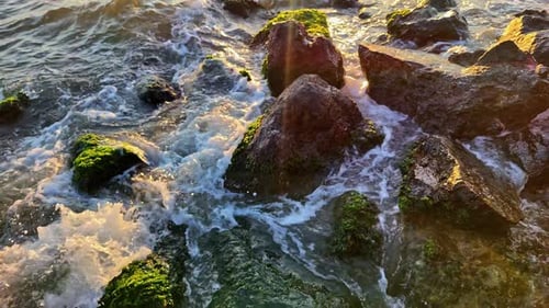 Slow Motion Shot Of Waves Crashing On Mossy Ocean Cliffs At Sunset