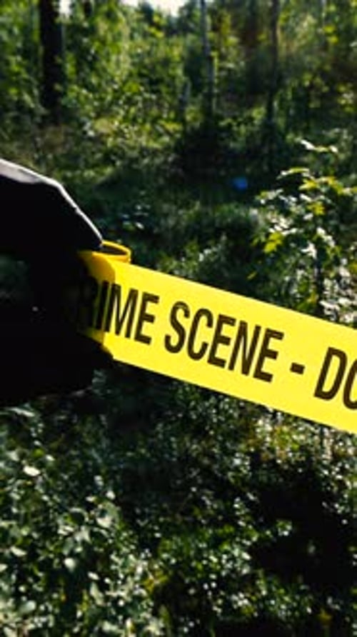 Police investigator pulling a yellow forensics Crime Scene tape in front of a forest area, gloves.