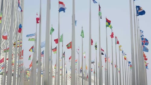 Many National Flags Waving in the Wind