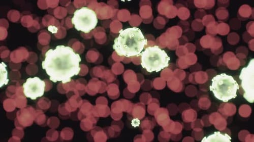 Viewing the Navirus Under a Digital Microscope