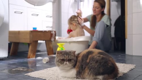 Family Time: Child Bath with Calico Cat