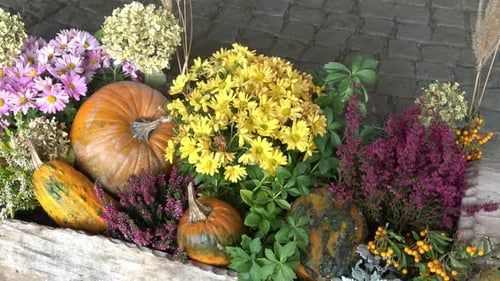 Autumn garden decoration. Concept of Thanksgiving day or Halloween.