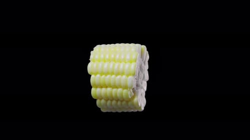 Rotating Cut Corn Cob Piece on Black Backdrop