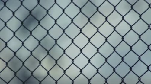 Wire Fence Abstract