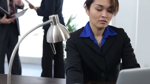 Businesswoman works on computer in modern office with team near window