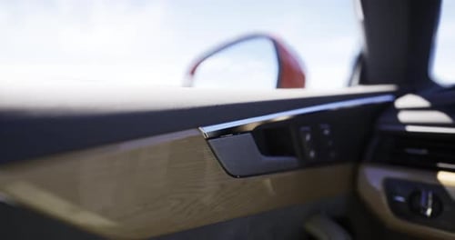 Modern Car Interior Door Handle with Wood Grain Trim