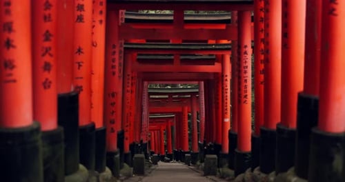 Japan, red torii gates and path in Fushimi inari-taisha for vacation, holiday