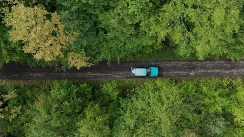 Aerial top view of car moving on the road in forest