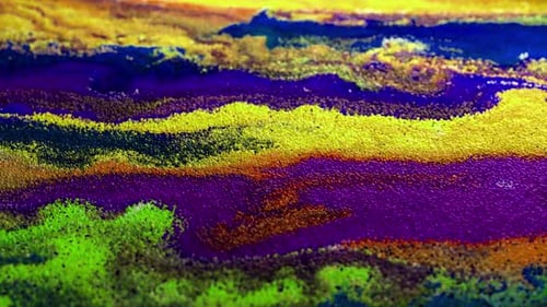 Multicolored Particles