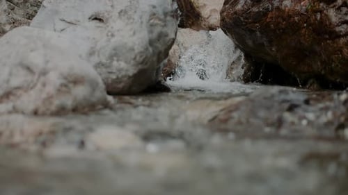 Pure Fresh Water Stream In Mountains Clean Water River Flowing